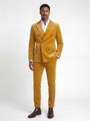 The Aurelius Velvet Suit