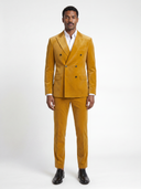 The Aurelius Velvet Suit