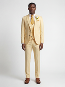 The Soleil Regent Suit