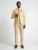 The Soleil Regent Suit